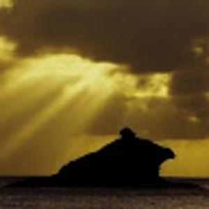 Meet your Posher, Joanne